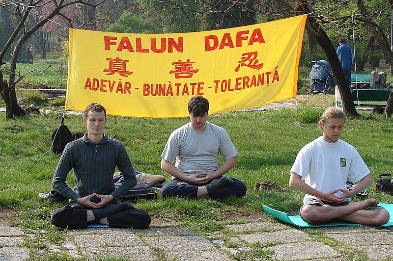 File:Falun Dafa, the fifth exercise3.jpg