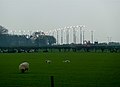 Farm scene with Airport lights, near Moss Nook, Ringway - geograph.org.uk - 2332850.jpg