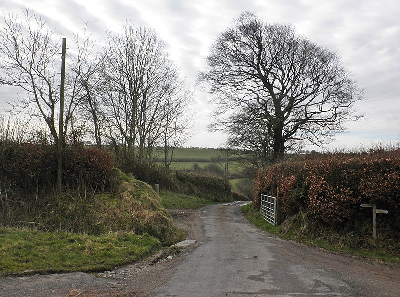 File:Farm track, Leigh - geograph.org.uk - 3873839.jpg