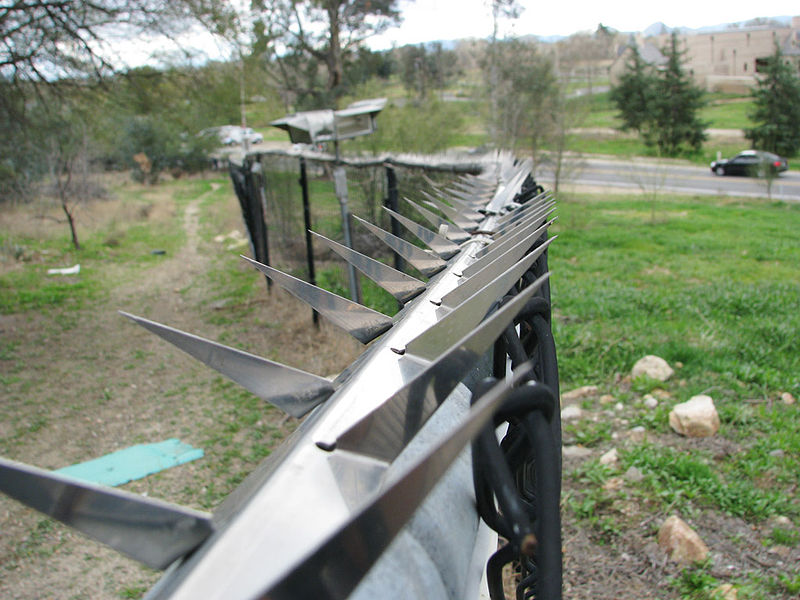 File:Fence blades fgnd focus.jpg