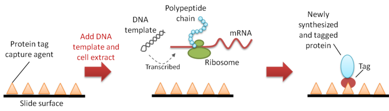 File:Figure 2 PISA.png