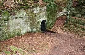 Blick auf den Keller