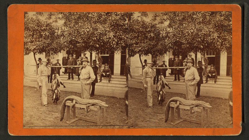 File:Fishing party, Florida, from Robert N. Dennis collection of stereoscopic views.png