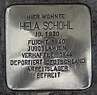 Flörsheim am Main Stolperstein Albanusstraße 2 Hela Schohl.jpg