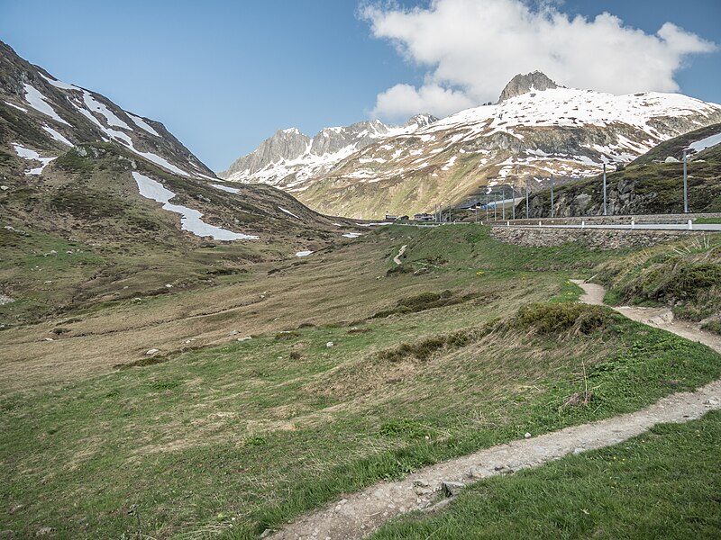 File:Flachmoorgebiet Oberalppass, Tujetsch GR 20230606-jag9889.jpg