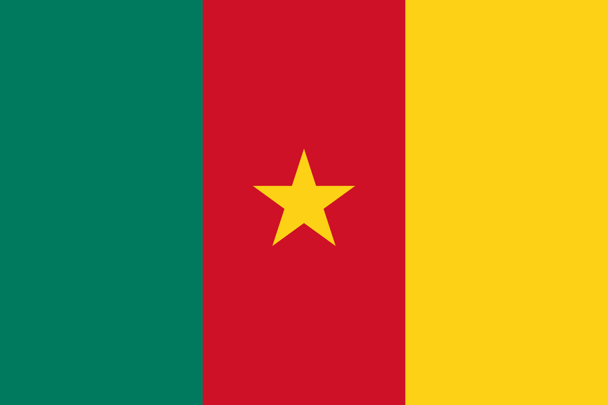Image of the Cameroon national flag. 