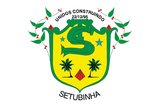 Flag of Setubinha - MG - Brazil.png