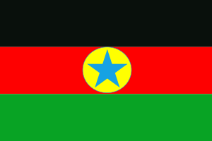 Flag of the Sudan Revolutionary Front.svg