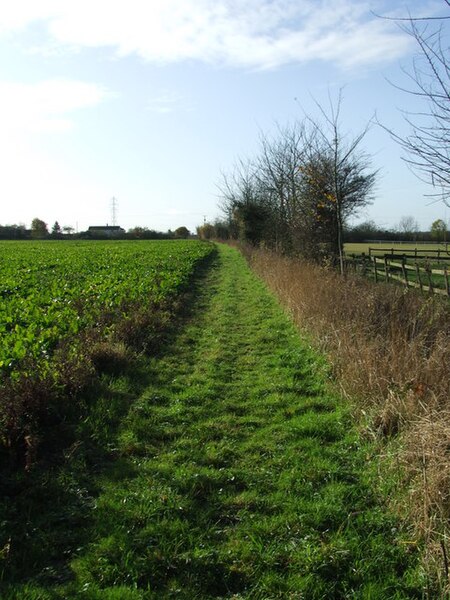 File:Footpath - geograph.org.uk - 1582582.jpg