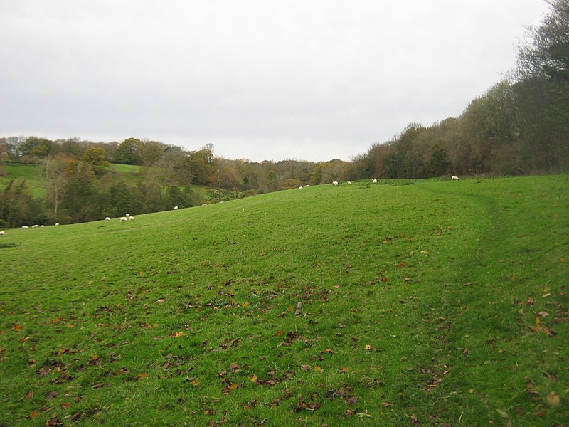 File:Footpath towards Saltwood Castle - geograph.org.uk - 2159309.jpg