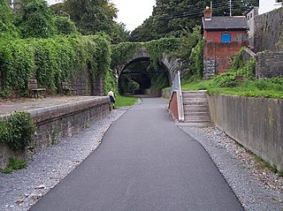 <span class="mw-page-title-main">Blackrock railway station (County Cork)</span>