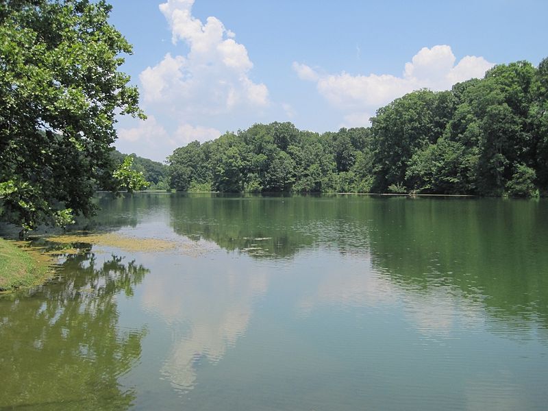 File:Fort Pillow State Park TN 31 lake.jpg