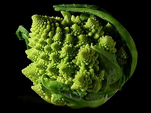 Romanesco