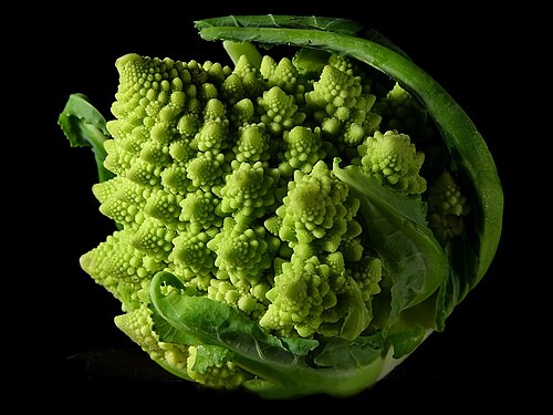 Fractal Broccoli.jpg