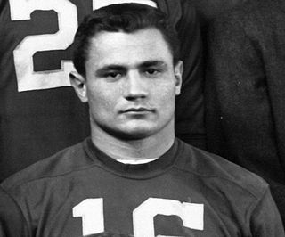 Fred Julian American football player and coach (1938–2013)