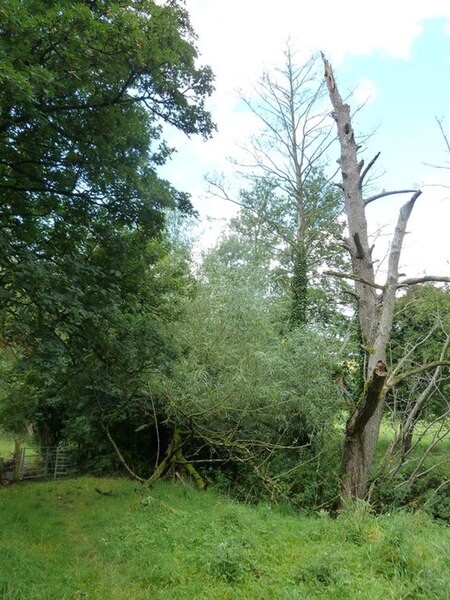 File:From the coal statue to the coal canal (30) - geograph.org.uk - 3660723.jpg