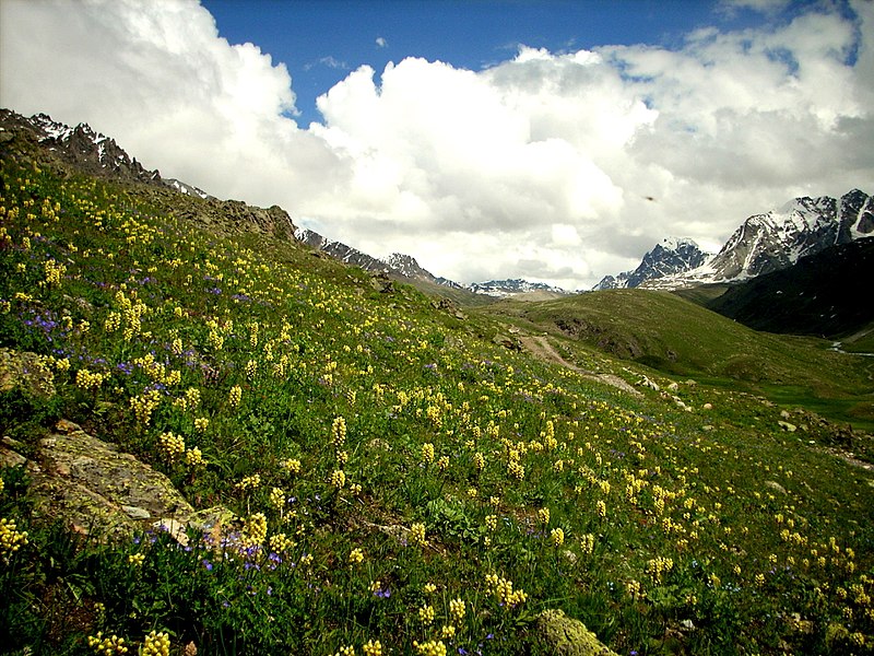 File:GB Deosai National Park -9.jpg