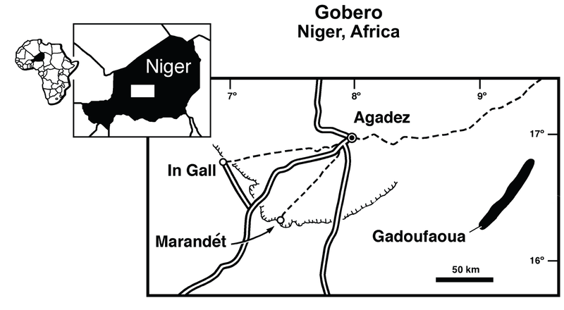 File:Gadoufaoua.png