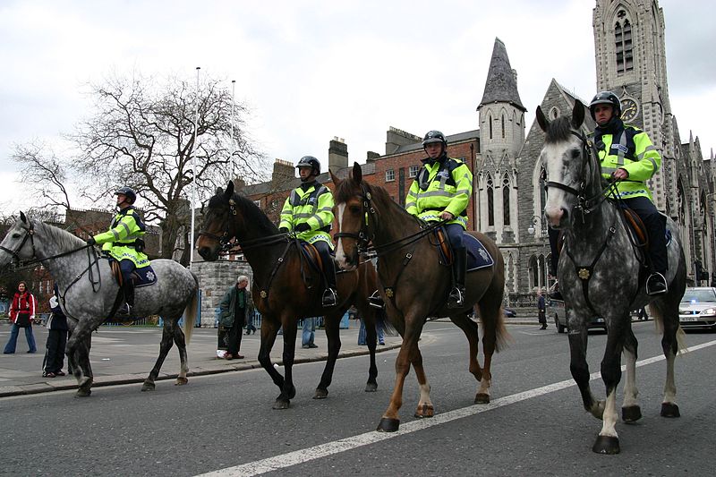File:Garda Horses 15th April 2006 - Flickr - D464-Darren Hall.jpg