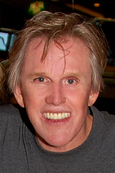 Busey in 2007
