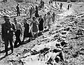 Deutsche Zivilisten gehen an den Toten der Evakuierungstransporte bei Nammering vorbei – April 1945