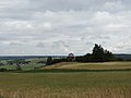 Gmina Rutka-Tartak, Poland - panoramio (11).jpg