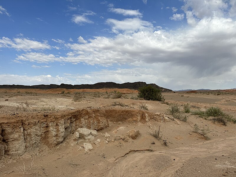 File:Gobi Desert 2023 in Ömnögovi Province, Mongolia 38.jpg