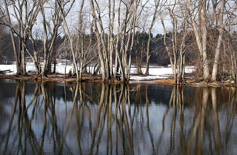 File:Great Meadows National Wildlife Refuge 2008-02-03.jpg