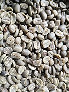 Fermented coffee (green) seeds without hulls.