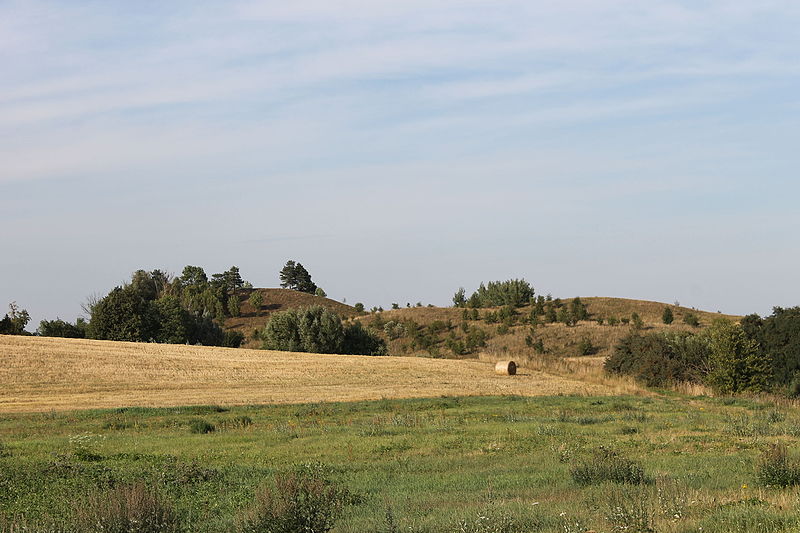 File:Gumbelių (Maišymų) piliakalnis 2015.JPG