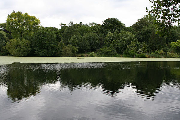 Hampstead Pond No. 1