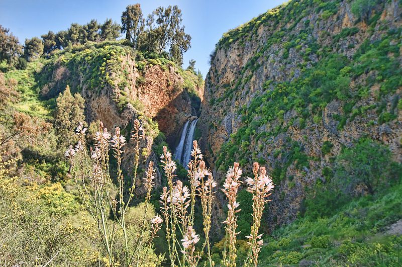 File:Hatanur Waterfalls Metula.jpg