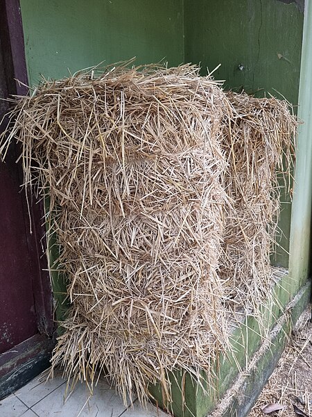 File:Hay stack from Kerala 02.jpg