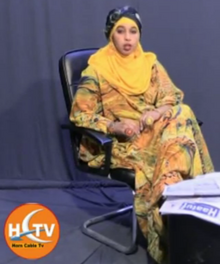 News show on the Somali private channel Horn Cable Television. Hctvnwshd2.png