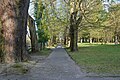 Park koło pałacu Ponińskich