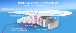 Cycloon Oog: Cycloon