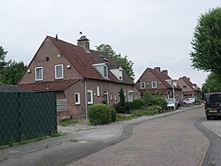 Irenestraat Zeilberg.jpg