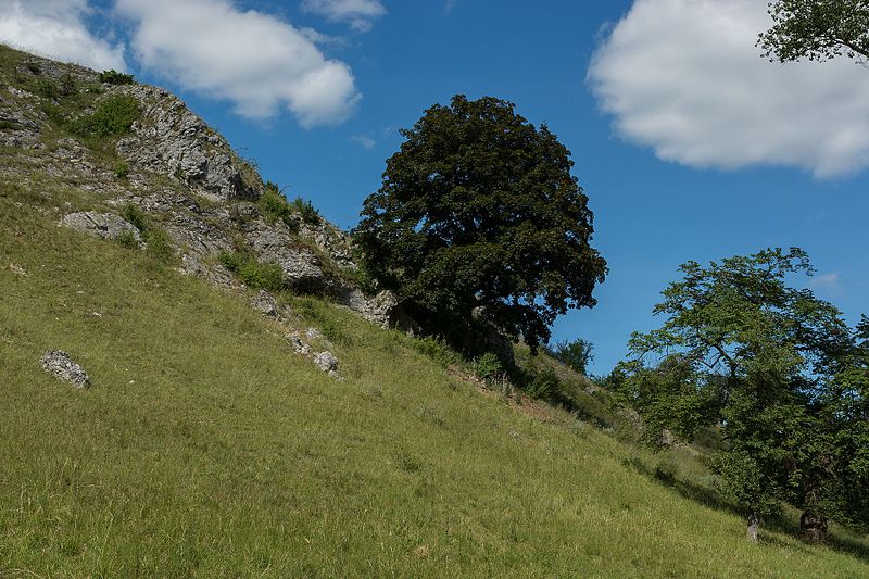 File:Irpfelhoehle 2017-06-17 1.jpg