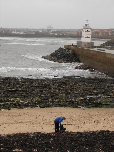 File:It's Never Too Wet to Beachcomb - geograph.org.uk - 1031056.jpg