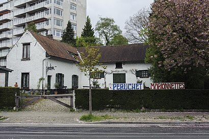 How to get to Koninklijk Peruchettheater with public transit - About the place