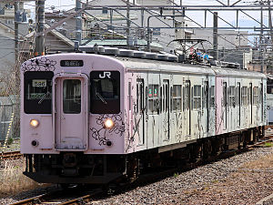 JRW series105 Wakayama-W2.jpg