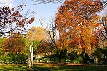 Jardin du Luxembourg in Fall 2019.jpg