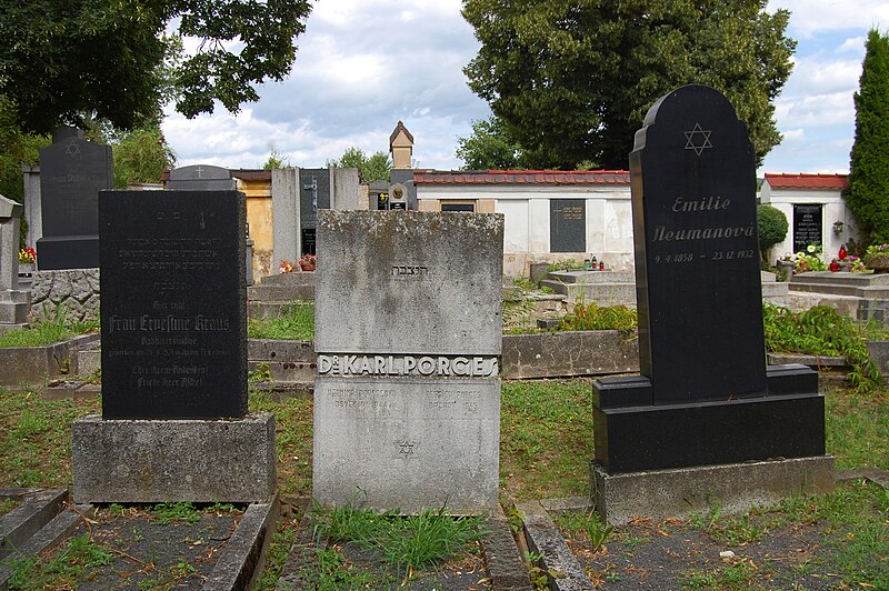 File:Jewish cemetery in Litoměřice 2012-07 04.JPG