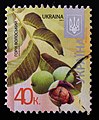 * Nomination Juglans regia stamp from Ukraine, 2015. --Tournasol7 05:30, 4 January 2022 (UTC) * Promotion  Support Good quality -- Johann Jaritz 06:51, 4 January 2022 (UTC)