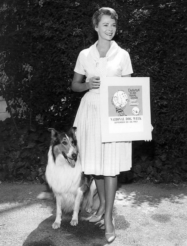 Lockhart as Ruth Martin in Lassie (1963)