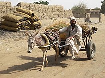 Transporte local em Kerma