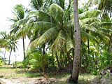 Kiribati