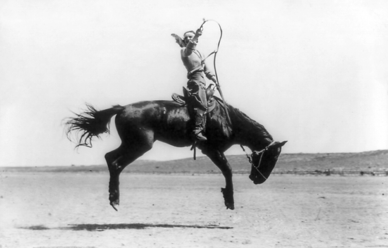 File:Kitty Canutt, champion lady rider of the world, on Winnemucca.png