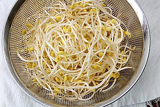 <span class="mw-page-title-main">Soybean sprout</span> Culinary vegetable