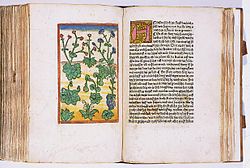 "La libro de la naturo", eldonita en 1475
